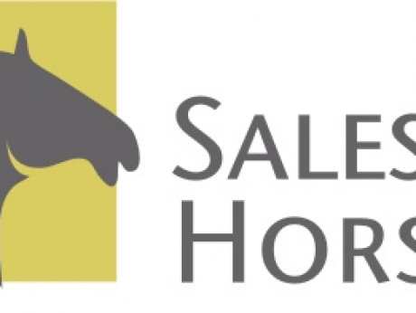 salesporthorses logo