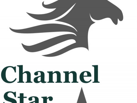 Logo CHANNEL STAR 2022.